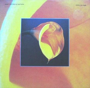 SWANS / スワンズ / CAN'T FIND MY WAY HOME