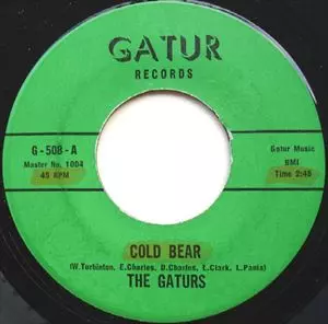 US-ORIGINAL The Gaturs Wasted LP レコード The Gaturs – Wasted (Vinyl LP) | Louisiana Music Factory