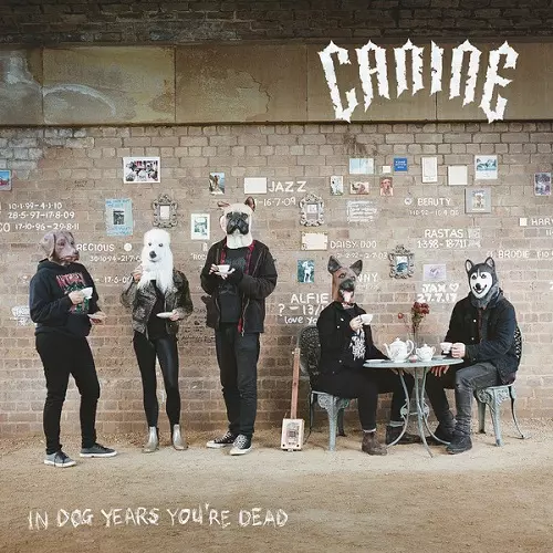 CANINE / IN DOG YEARS YOU'RE DEAD