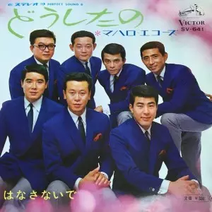 マハロ・エコーズ / どうしたの