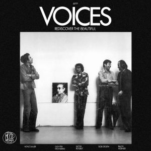 VOICES(JAZZ) / REDISCOVER THE BEAUTIFUL
