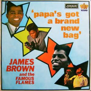JAMES BROWN / ジェームス・ブラウン / PAPA'S GOT A BRAND NEW BAG