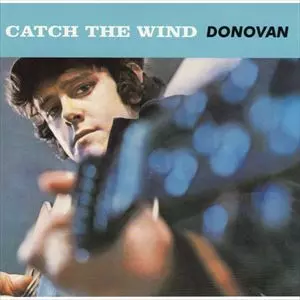 CATCH THE WIND/DONOVAN/ドノヴァン｜OLD ROCK｜ディスクユニオン