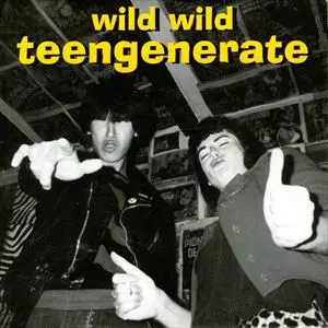 WILD WILD/TEENGENERATE/ティーンジェネレイト｜PUNK｜ディスク