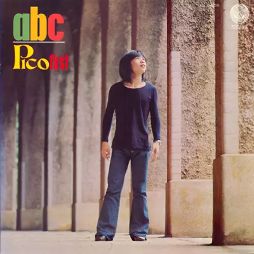YASUO HIGUCHI (PICO) / 樋口康雄 (ピコ)商品一覧｜HIPHOP