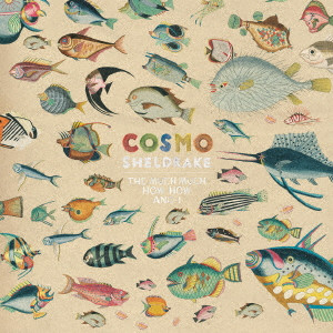 COSMO SHELDRAKE / コスモ・シェルドレイク / THE MUCH MUCH HOW HOW AND I