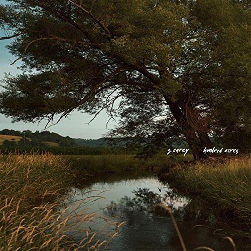 S. CAREY / エス・キャリー / HUNDRED ACRES (LP/COLORED VINYL)