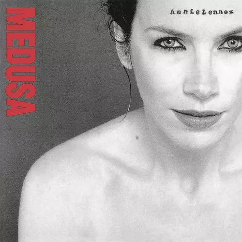 ANNIE LENNOX / アニー・レノックス商品一覧｜ディスクユニオン