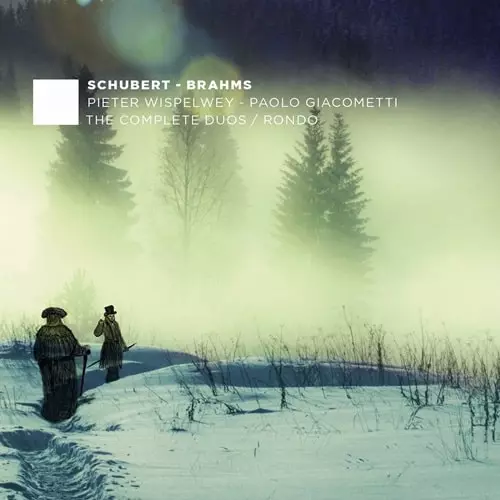 PIETER WISPELWEY / ピーター・ウィスペルウェイ / SCHUBERT / BRAHMS COMPLETE DUOS VOL.4