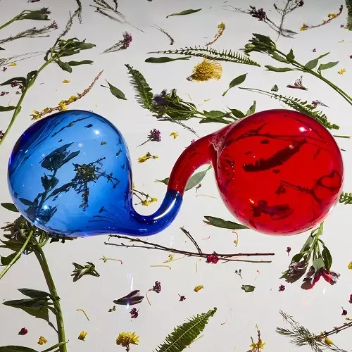 DIRTY PROJECTORS / ダーティ・プロジェクターズ / LAMP LIT PROSE