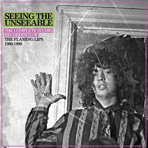 FLAMING LIPS / フレーミング・リップス / SEEING THE UNSEEABLE: THE COMPLETE STUDIO RECORDINGS OF THE FLAMING LIPS 1986-1990 (6CD)