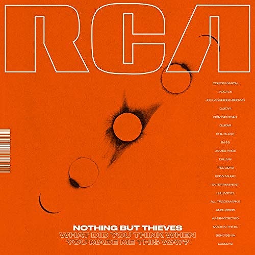 NOTHING BUT THIEVES / ナッシング・バット・シーヴス / WHAT DID YOU THINK WHEN YOU MADE ME THIS WAY? (12") 