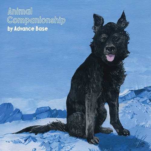 ADVANCE BASE / ANIMAIL COMPANIONSHIP (LP) 