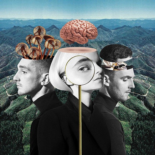 CLEAN BANDIT / クリーン・バンディット / WHAT IS LOVE? (STANDARD)