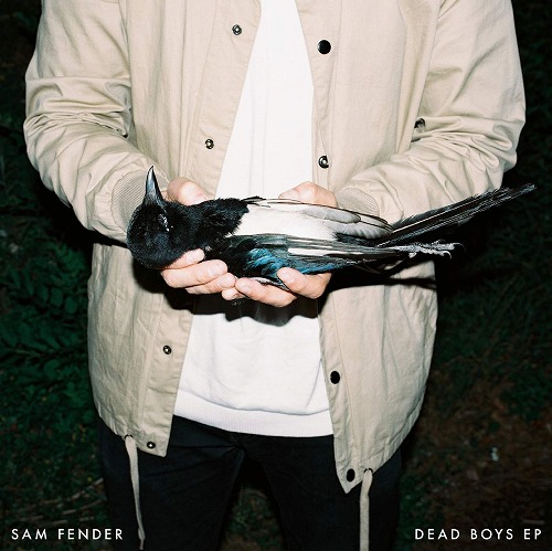 SAM FENDER / サム・フェンダー / DEAD BOYS (180G)  / デッド・ボーイズ