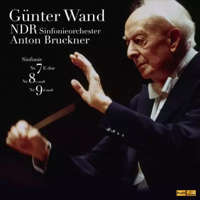 ギュンター・ヴァント
ブルックナー交響曲8番
ベルリン放送響 1985年ライブ ブルックナー: 交響曲選集 ハンブルク・ライヴ 第1集(1998~2000
