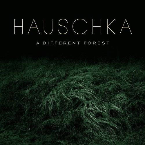 HAUSCHKA / ハウシュカ (フォルカー・ベルテルマン) / A DIFFERENT FOREST