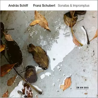 ANDRAS SCHIFF / アンドラーシュ・シフ / FORTEPIANO SCHUBERT VOL.2
