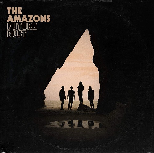 AMAZONS / アマゾンズ(UK) / FUTURE DUST (LP)