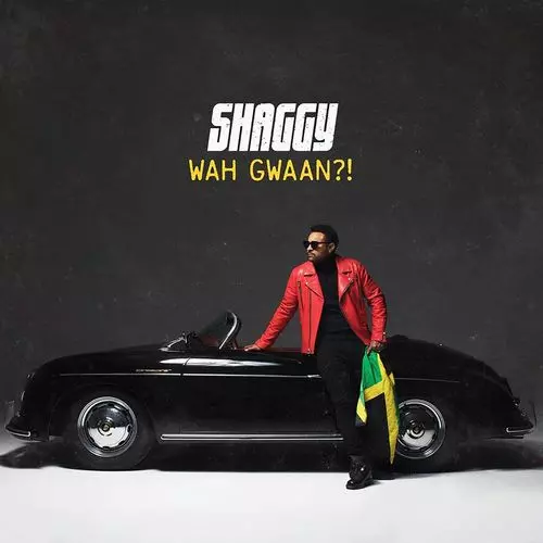 SHAGGY / シャギー / WAH GWAAN?!