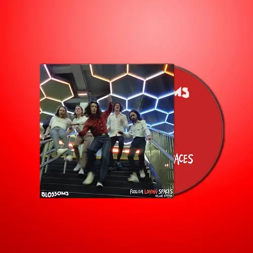 BLOSSOMS(UK ROCK) / ブロッサムズ / FOOLISH LOVING SPACES (DELUXE)