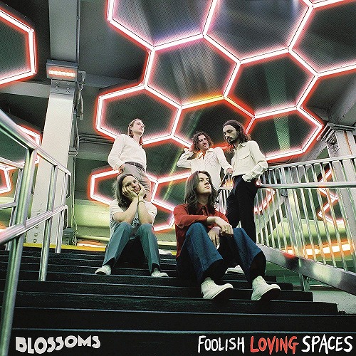 BLOSSOMS(UK ROCK) / ブロッサムズ / FOOLISH LOVING SPACES