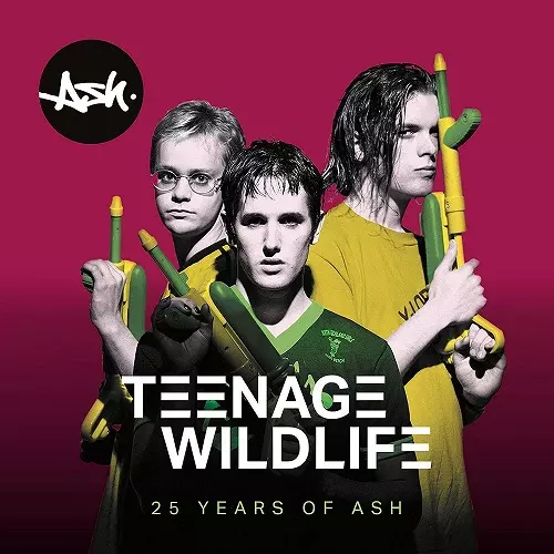 ASH / TEENAGE WILDLIFE: 25 YEARS OF ASH (2LP VINYL)
