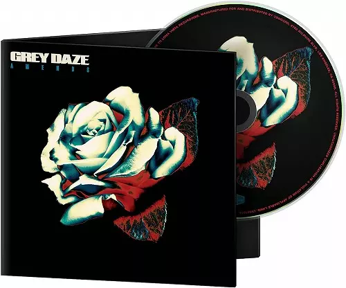 GREY DAZE / グレイ・デイズ / AMENDS