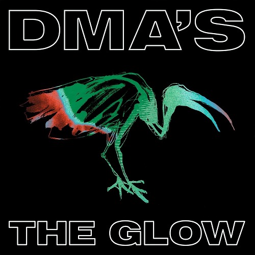 DMA'S / ディーエムエーズ / THE GLOW
