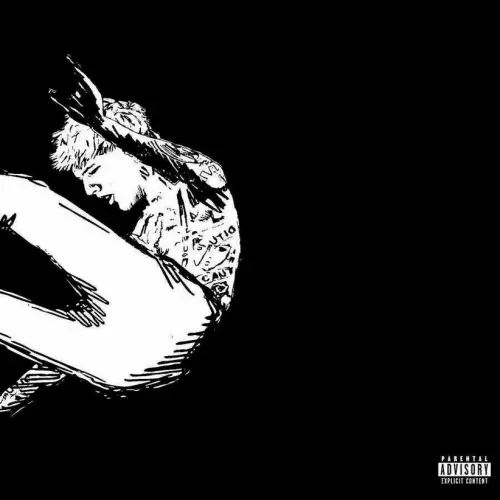 TICKETS TO MY DOWNFALL 