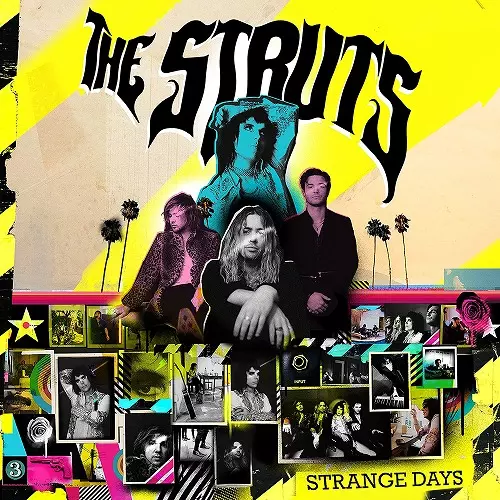 STRUTS / ストラッツ商品一覧｜OLD ROCK｜ディスクユニオン