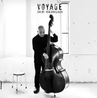 DAIKI YASUKAGAWA / 安ヵ川大樹 / VOYAGE