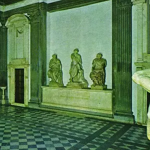 DUCKTAILS / ダックテイルズ / ST. CATHERINE