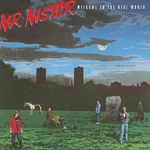 MR. MISTER / ミスター・ミスター商品一覧｜ディスクユニオン