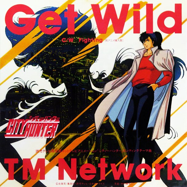 TM NETWORK / ティー・エム・ネットワーク / GET WILD