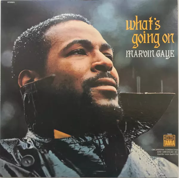 WHAT'S GOIN' ON/MARVIN GAYE/マーヴィン・ゲイ｜SOUL/BLUES/GOSPEL