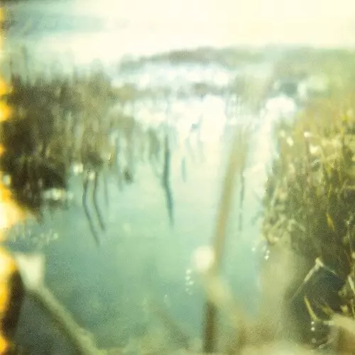 TAYLOR DEUPREE / テイラー・デュプリー / SHOALS