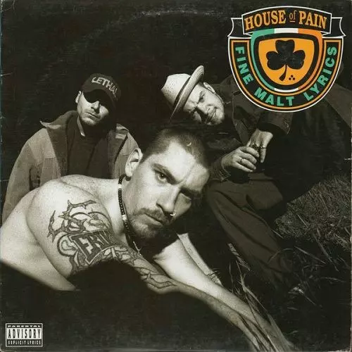 HOUSE OF PAIN / HOUSE OF PAIN "2LP"