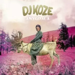 DJ KOZE / DJコーツェ / AMYGDALA