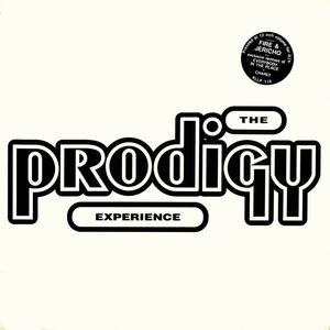 PRODIGY / プロディジー / EXPERIENCE