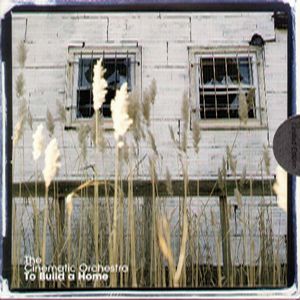 CINEMATIC ORCHESTRA / シネマティック・オーケストラ / TO BUILD A HOME