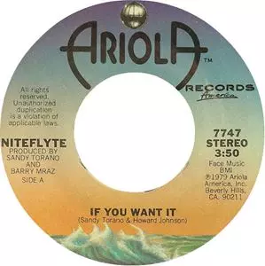 IF YOU WANT IT/NITEFLYTE/ナイトフライト｜HIPHOP/R&B