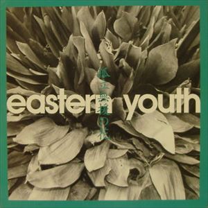 eastern youth / 孤立無援の花