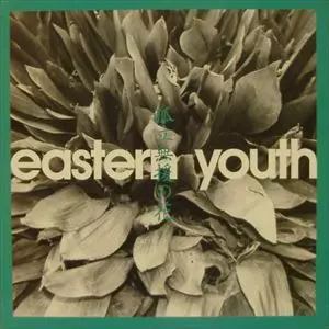 イースタンユース eastern youth　孤立無援の花　レコード 孤立無援の花/eastern youth｜PUNK｜ディスクユニオン・オンライン