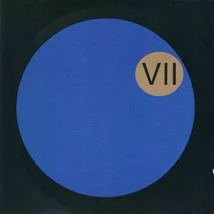 PETE NAMLOOK,KLAUS SCHULZE & BILL LASWELL / ピート・ナムルック・アンド・クラウス・シュルツェ・アンド・ビル・ラズウェル / THE DARK SIDE OF THE MOOG VII