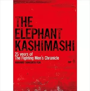 THE ELEPHANT KASHIMASHI / エレファントカシマシ / 25 years of the fighting men's chronicle 