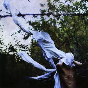 PETRE INSPIRESCU / ペトレ・インスピレスク / VIN PLOILE