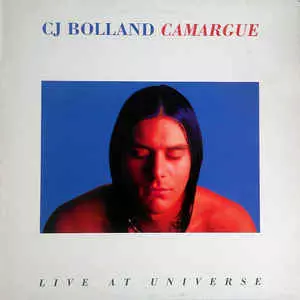 C.J. Bolland Counterpoint 12インチレコード C.J. Bolland Counterpoint 12インチレコード C.J. BOLLAND商品一覧