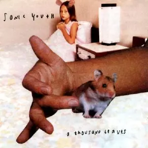 A THOUSAND LEAVES / ア・サウザンド・リーヴス/SONIC YOUTH/ソニック