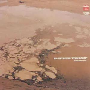 新品未使用 SILENT POETS FIRM ROOTS レコード FIRM ROOTS/SILENT POETS/サイレント・ポエツ｜CLUB/DANCE